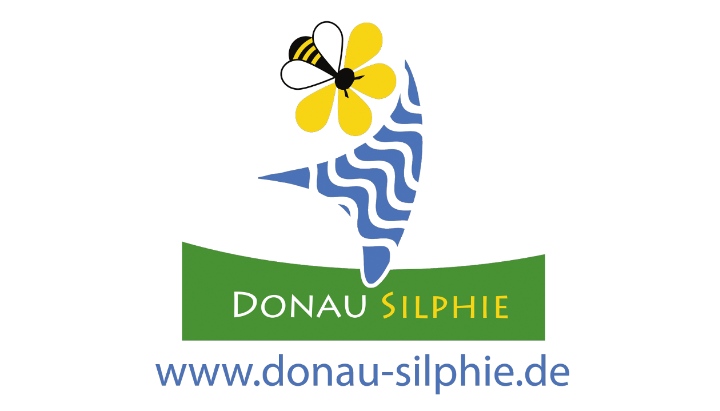 Donau Silphie