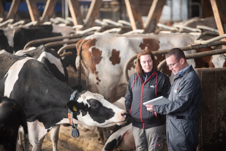 Semex Deutschland -4