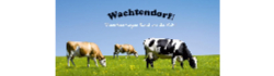 Wachtendorf
