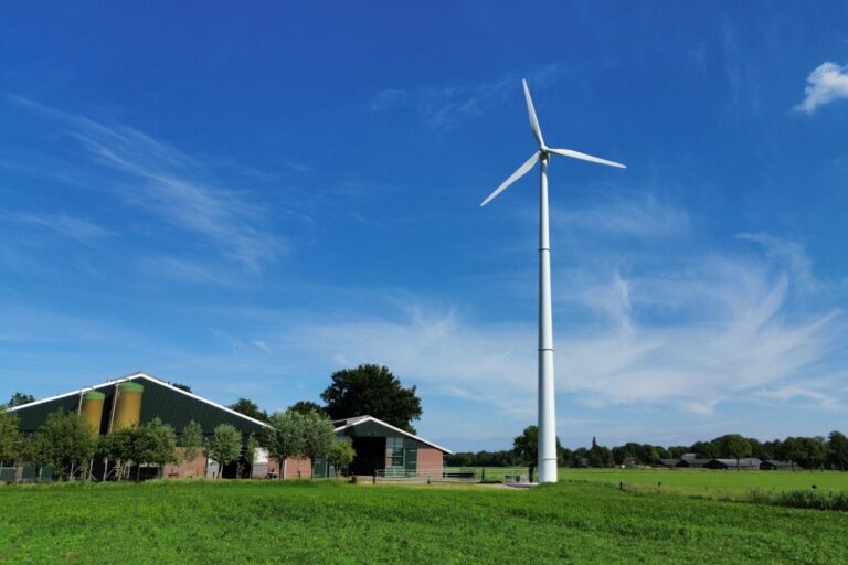 dji_fly_20250520_164134_307_1747752575755_photo_optimized (1)